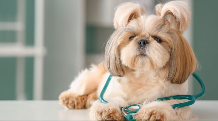 Tierärztin Denisse Barrera