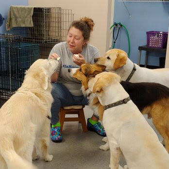 Central Pet Supply & Grooming