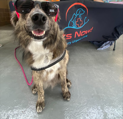 VetsNow! Veterinary Urgent Care - Pet Shop in Virginia Beach