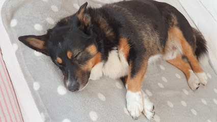 Tiermedizinzentrum Berlin