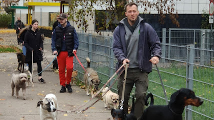 Hundezentrum Go Dogs