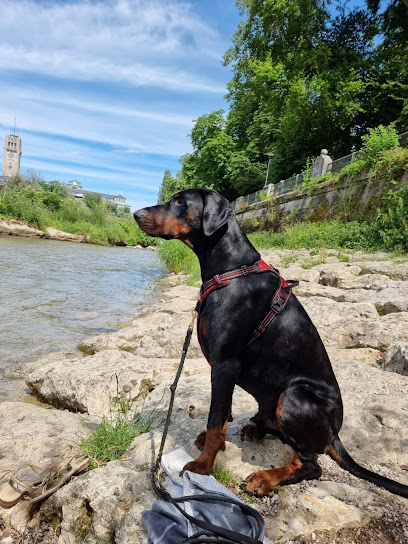 Dr.med.vet. Christine Loser Tierärztin