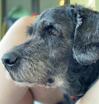 Tierarztpraxis Mahlsdorf