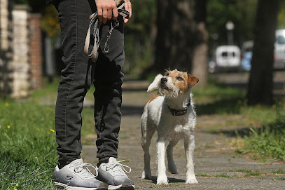 Hundezentrum Heiduk