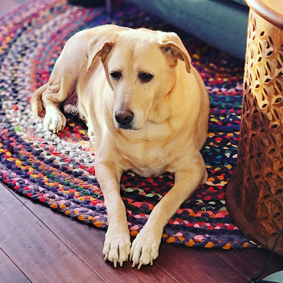 Holland Oaks Veterinary Hospital