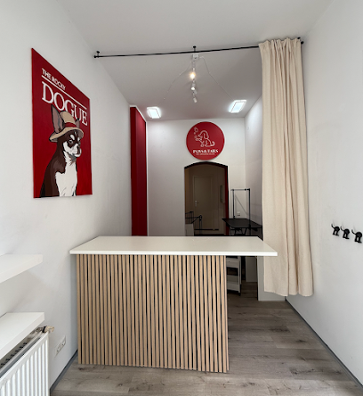 Hundesalon Paws and Tails Kreuzberg