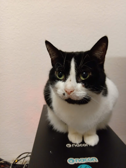 Tierarztpraxis Am Westend