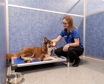 K9 Resorts Luxury Pet Hotel Virginia Beach