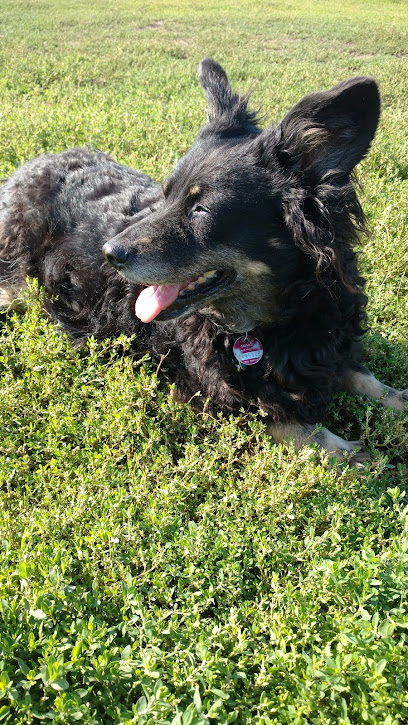 Tierarztpraxis am Hermannplatz