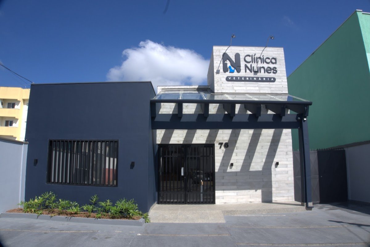 Clinica Nunes