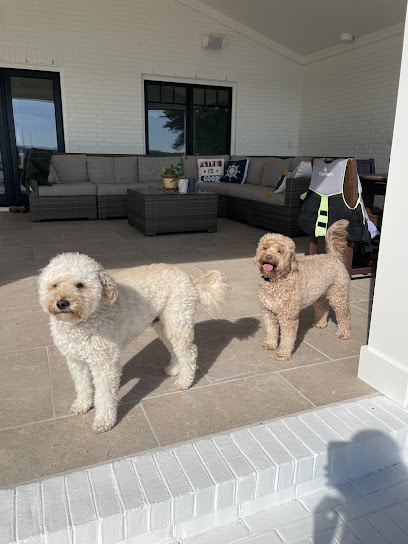 Courtney's Canine Care