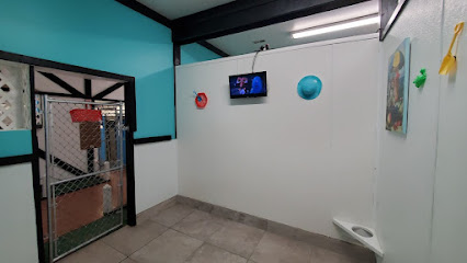 Holly Ridge Manor Canine Country Club