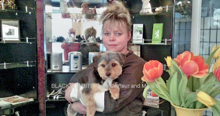 Hunde & Katzensalon Black & White Dogs Coiffeur and More - Tierhandlung in Berlin