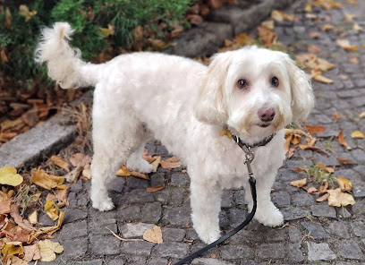 Hundesalon Alexandra Budde