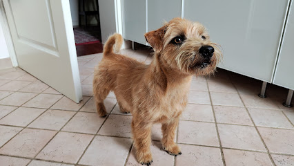 Dog Styling /Hundepflege & Hundefriseur Georgi Manuela