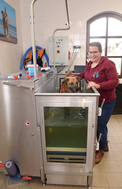 Tierphysiotherapie Anja Koch