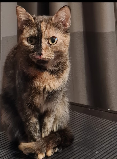 Tierarztpraxis am Nollendorfplatz