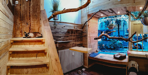 Berlin-Katzenpension