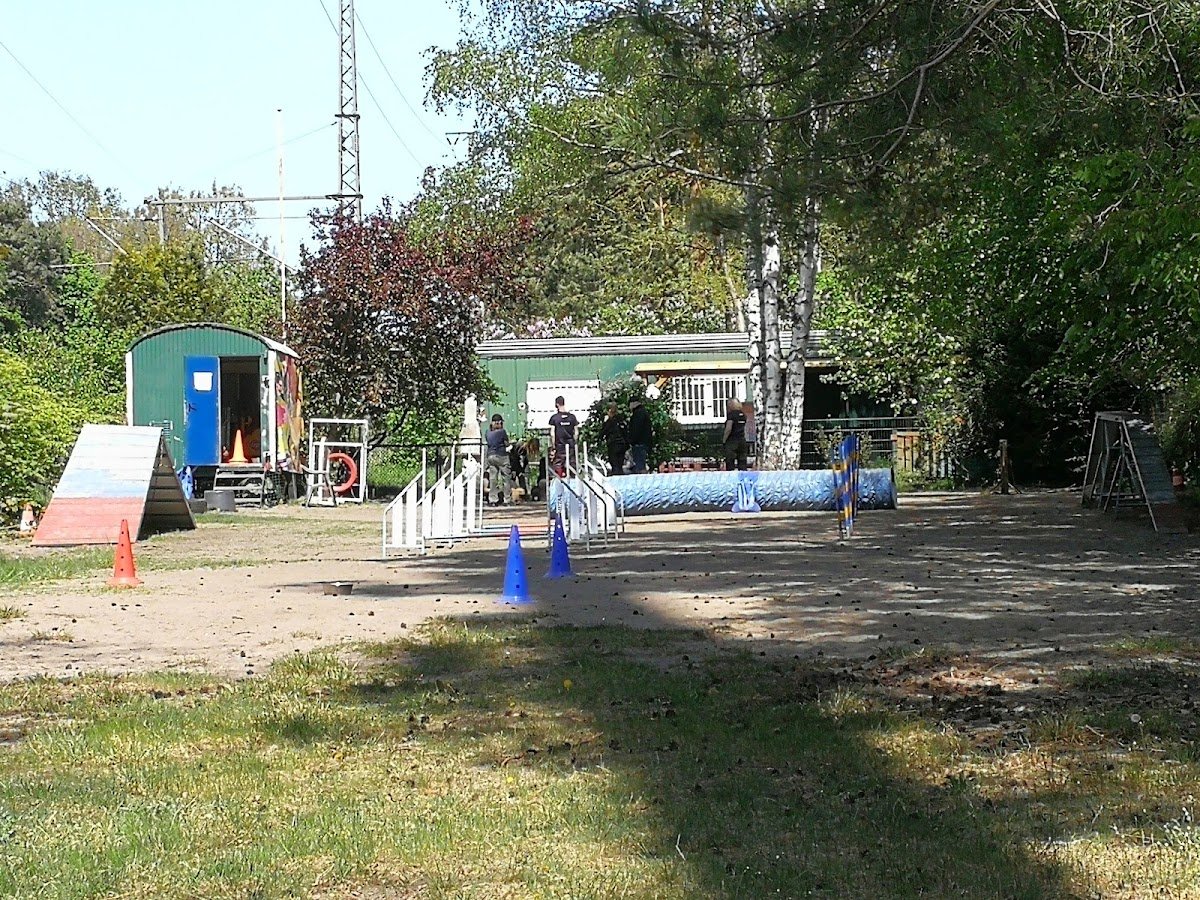 Martin Rütter Hundeschule Berlin - Foto 2