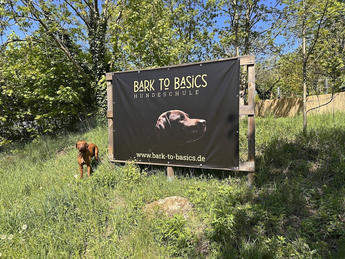 Bark to Basics Hundeschule - Foto 2