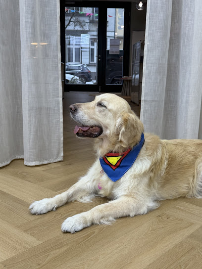 CITY GROOMER dein Hundfriseur