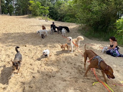 Dogsitter Berlin - Hundeservice - Tierhandlung in Berlin