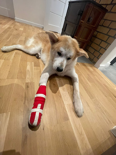 Tierarztpraxis Sonnenberg