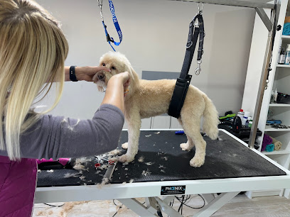 Dog Spa Hundesalon - Tierhandlung in Hamburg