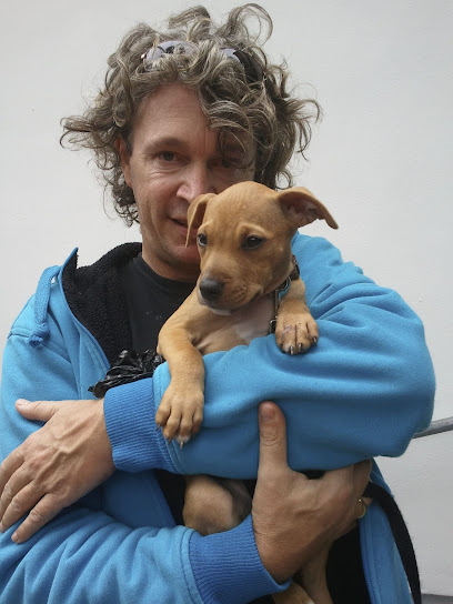 mobile Kleintierpraxis Hamburg / Hausbesuche Dr. Oliver Schleif