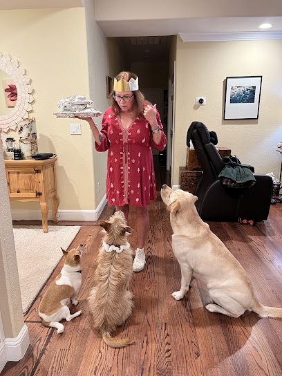 Great Pups Dog Training