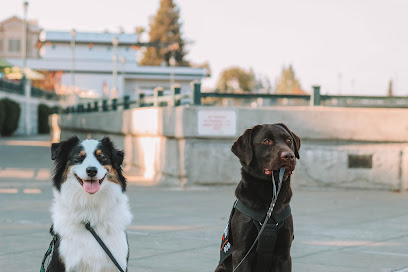Sunflower Canine Services