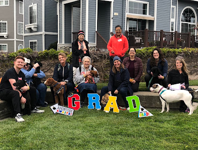 Doggy Detail Dog Training