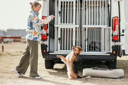 DREAMDOGS - Tierhandlung in Hamburg