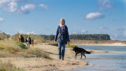 West End Dogs Hundebetreuung