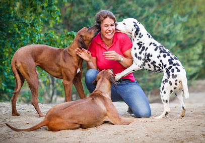 Andrea Lüders - Hundeschule