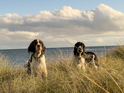 Westphalen St. Dr.med.vet.