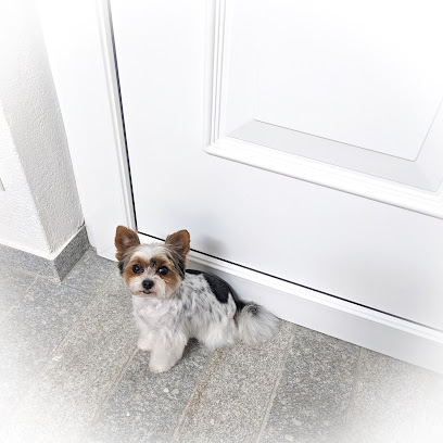 Encanto Hundesalon - Tierhandlung in Hamburg