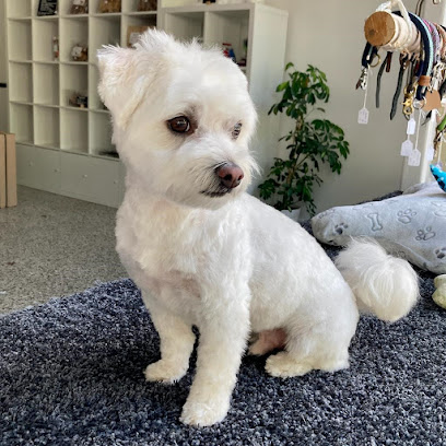 Bella & Bello – Groomery Eppendorf