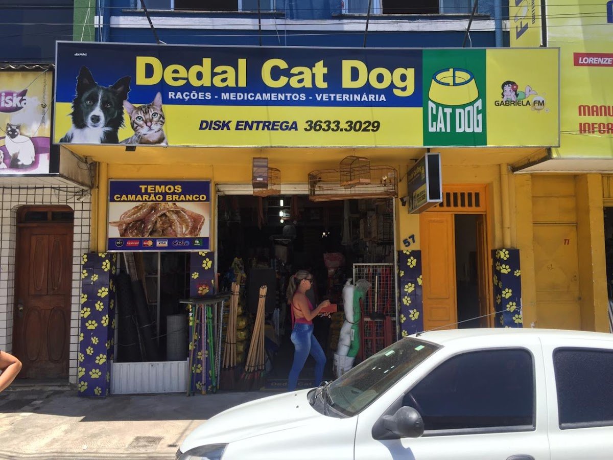 Dedal Cat Dog
