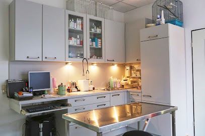 Tierarztpraxis Hamburg Horn | Dr. Maren Hänelt