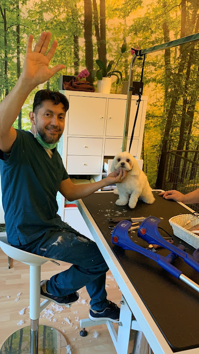 Pico bello hundepension und friseur
