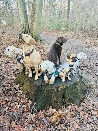 Hundecollege Hamburg