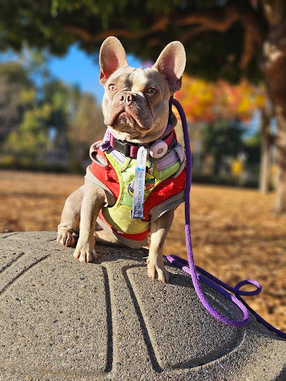 Tanisha’s loving Pet Care Services