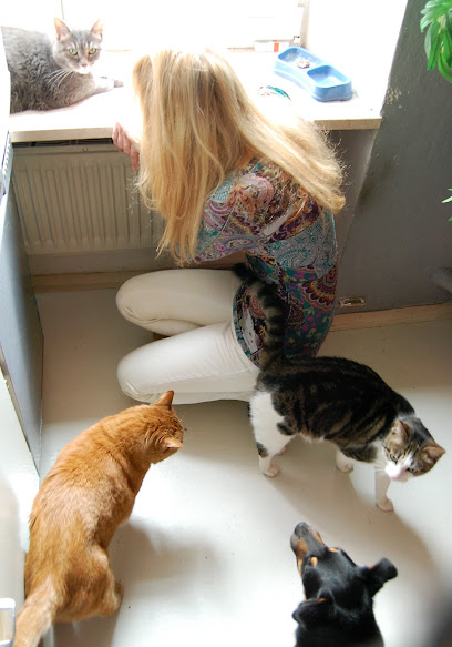 tierhertz - Katzenbetreuung Katzensitter Kleintierbetreuung von Poing bis München - Tierhandlung in München