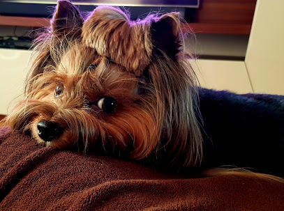 Tierarztpraxis Dr. Dagmar Burger