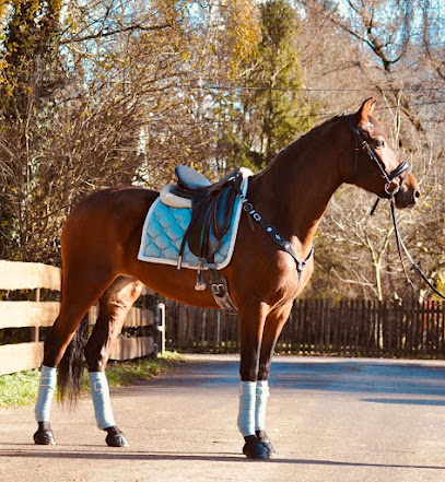 Reitzentrum am Erlbach