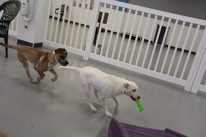 Urban Hound Playground