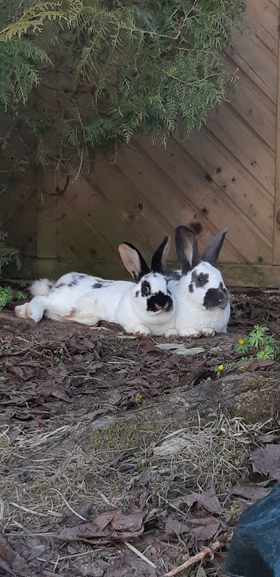 Tierschutzverein München e.V.