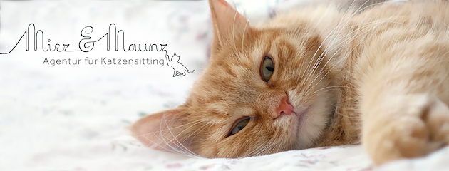 Miez & Maunz Agentur für Katzensitting - Tierhandlung in München