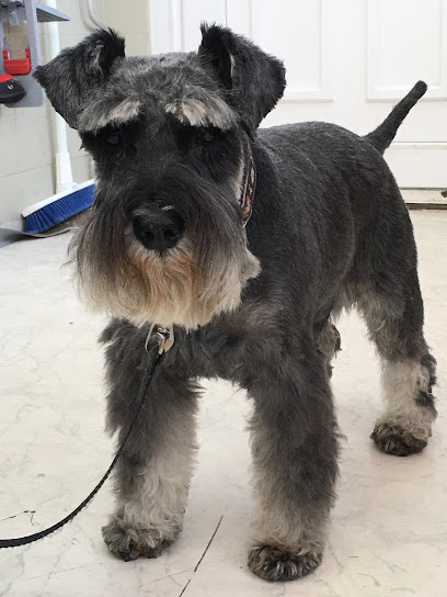 Hundesalon Rundumsfell München